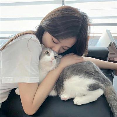 动物界